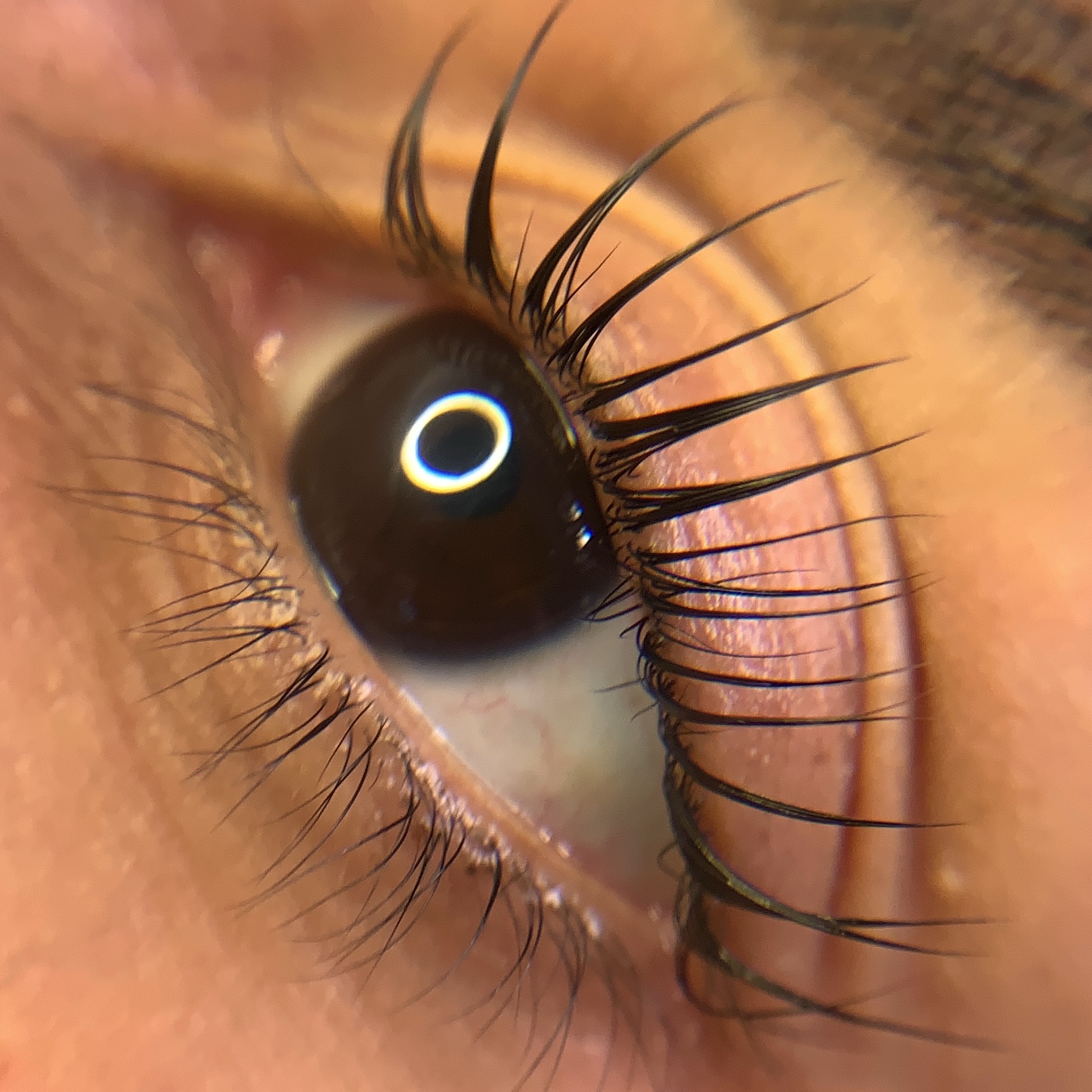 Lash Lifting
