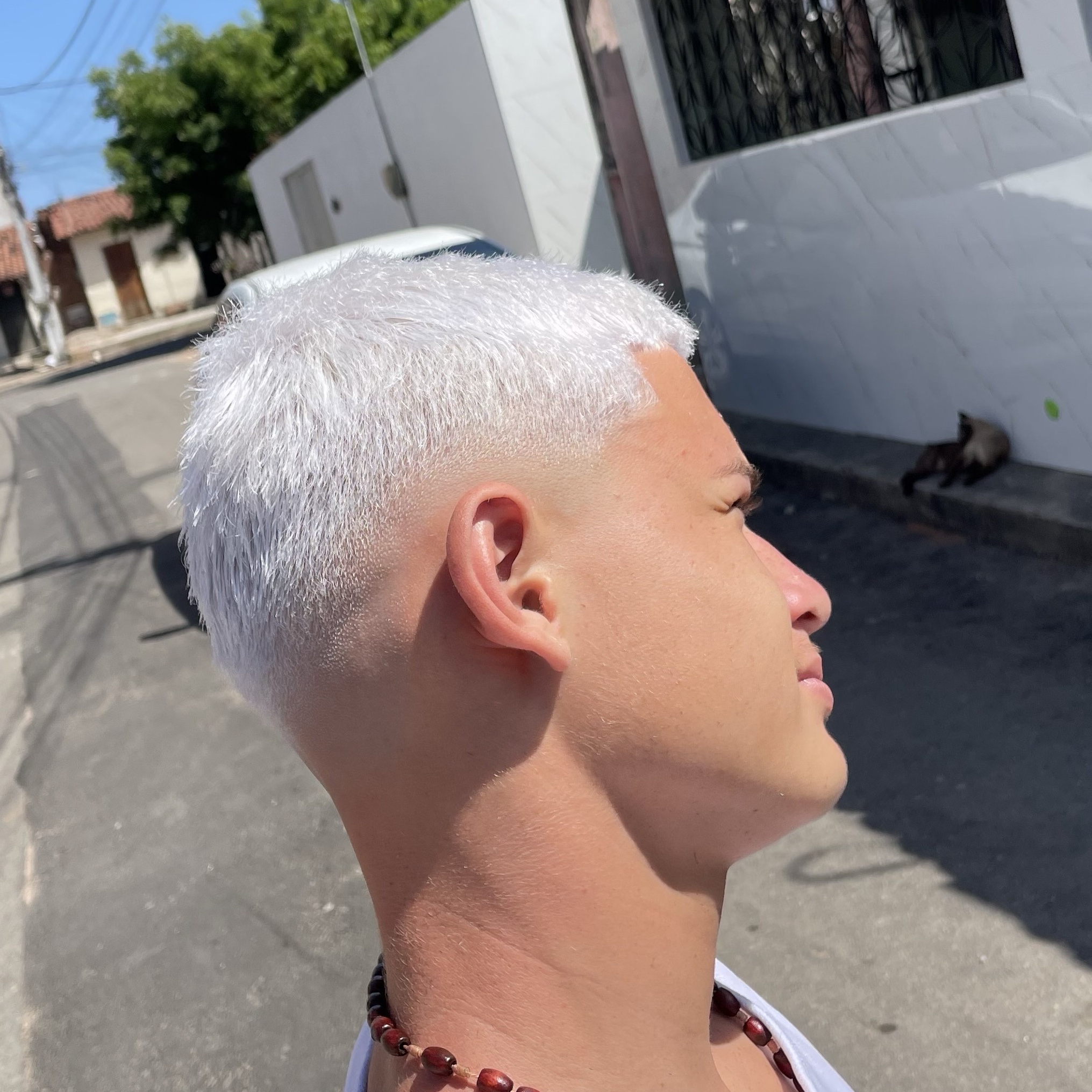 Nevou+corte
