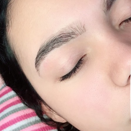 sobrancelha feminina apenas desenho