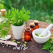 Consulta na Especialidade Fitoterapia