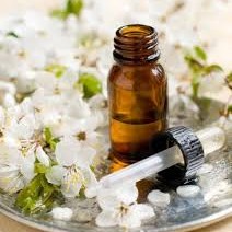 Consulta na Especialidade Floralterapia
