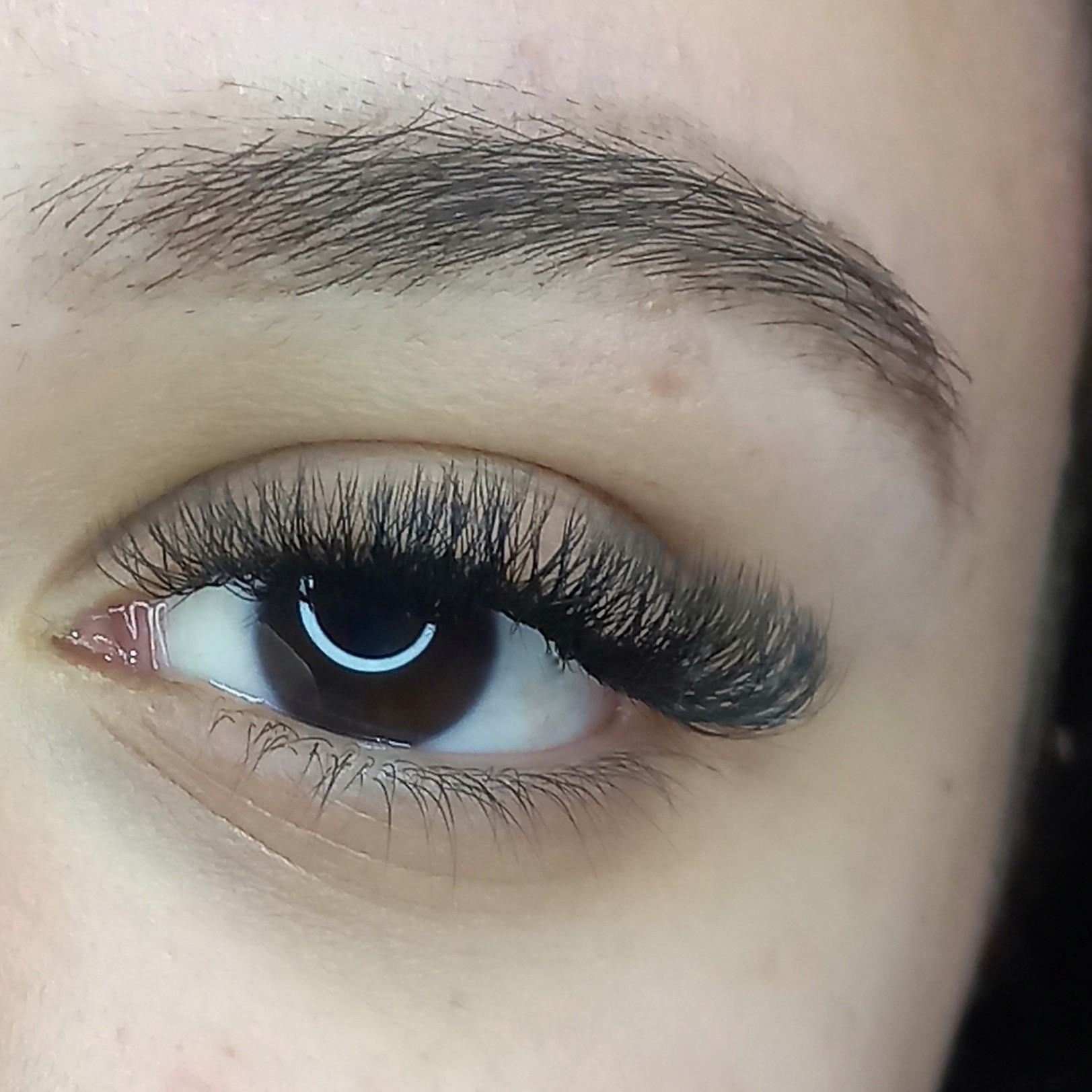 Manutenção volume egípcio 3d