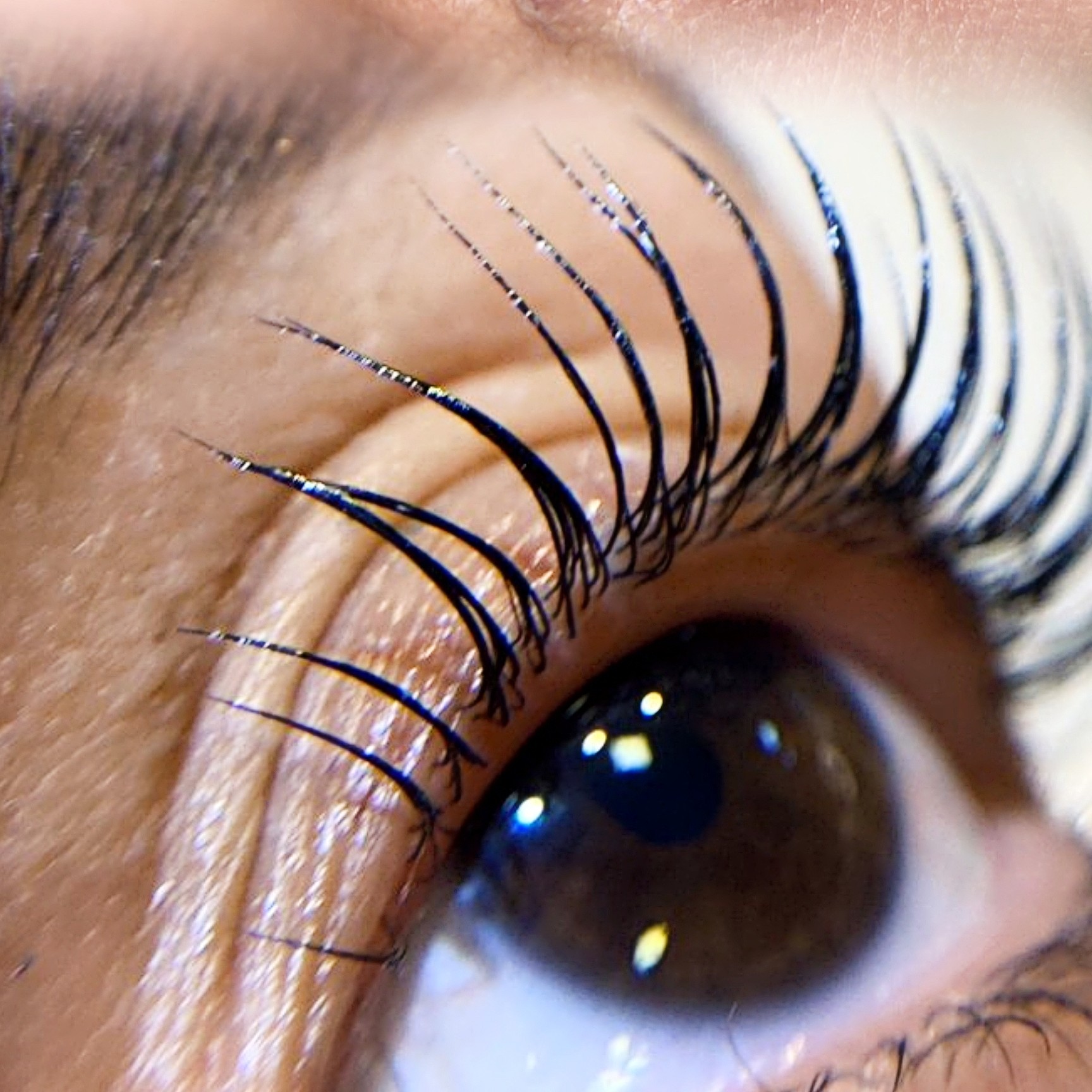 lash lifting (modelo)