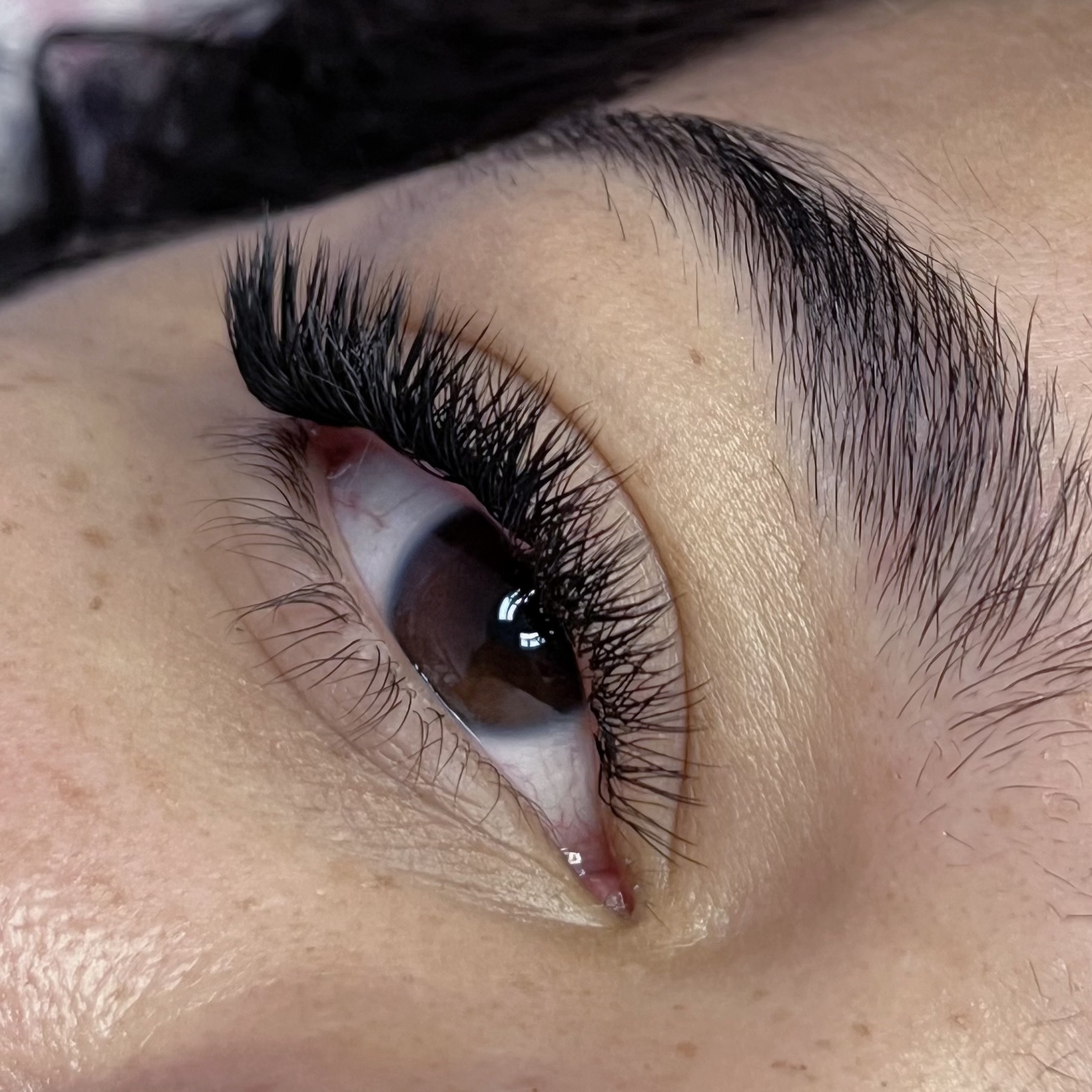 Fox eyes