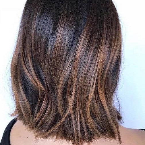 Morena iluminada cabelo curto (tratamento e finalização)