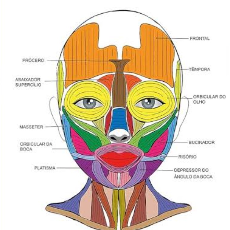 SHIATSU FACIAL