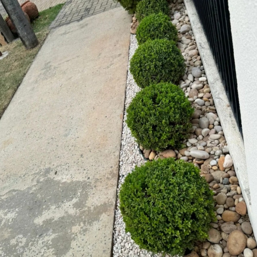 Manutenção jardim