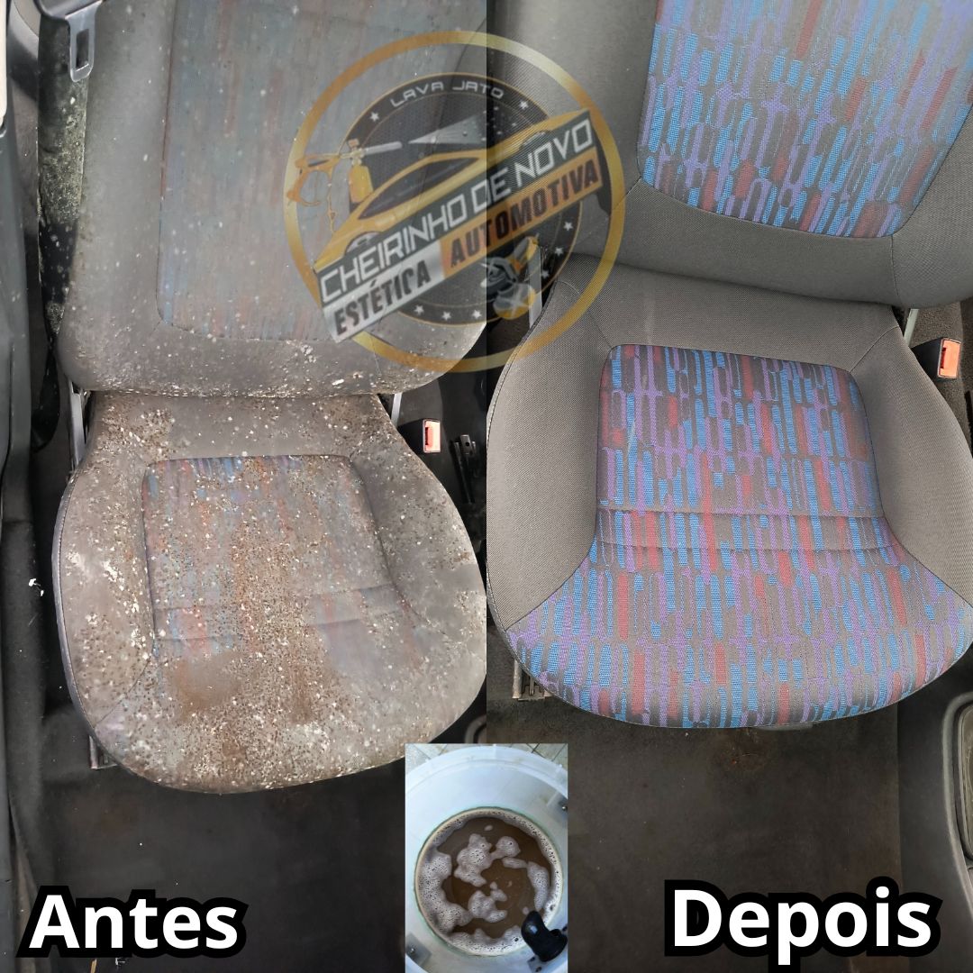 Higienização Completa interna ( Banco de Tecido)