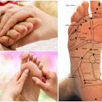 Reflexologia Podal Terapêutica