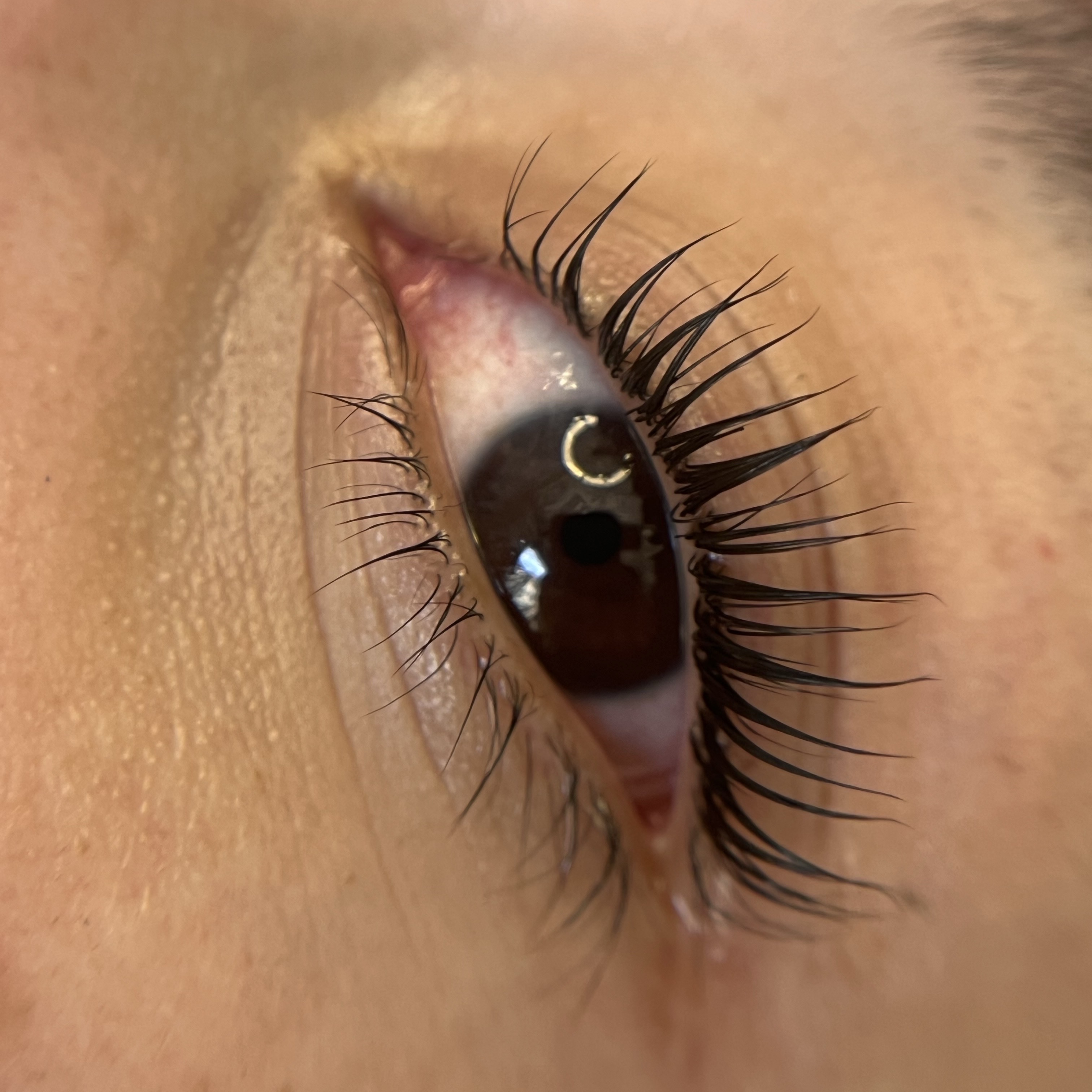 Lash Lifting