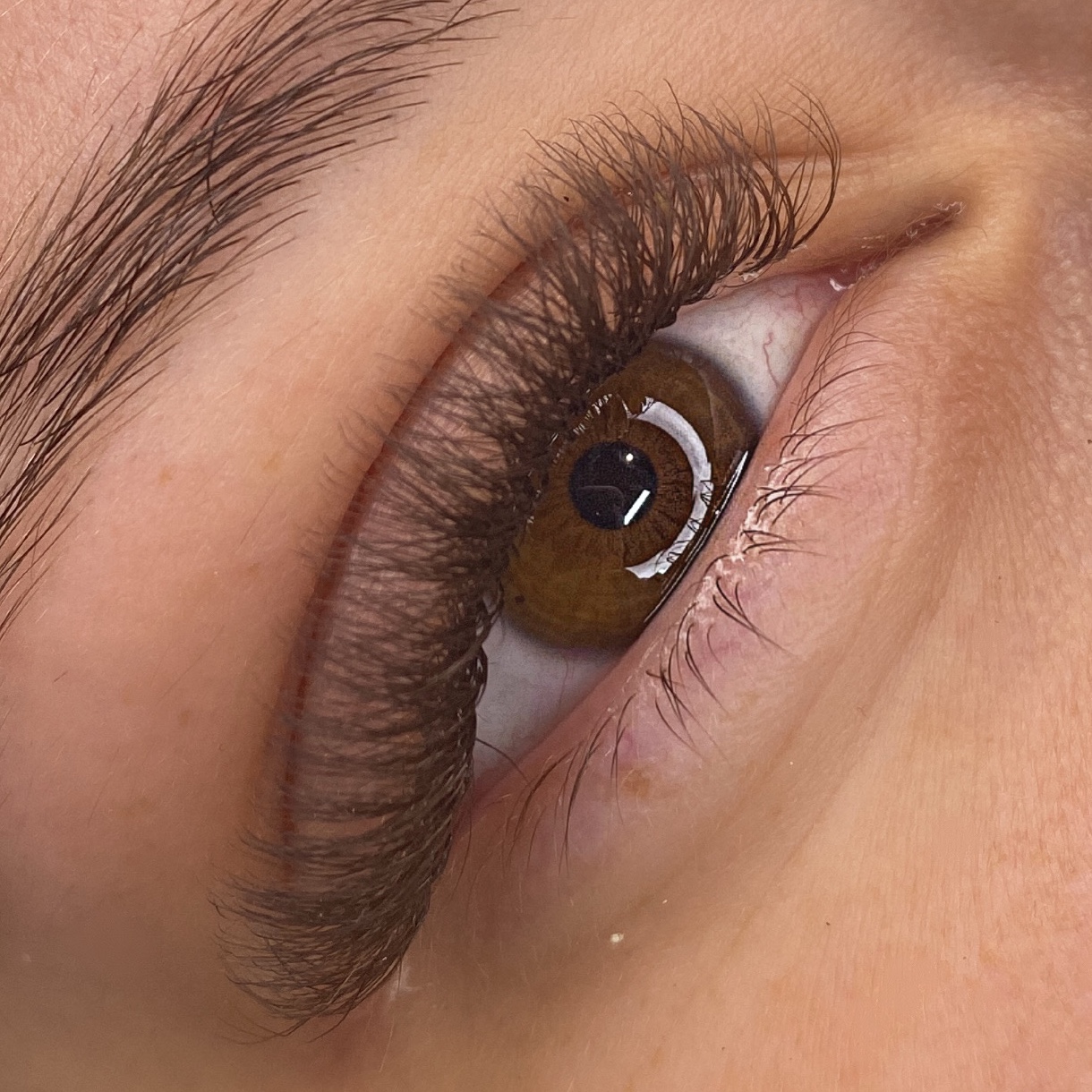 BROWN LASHES cílios marrom