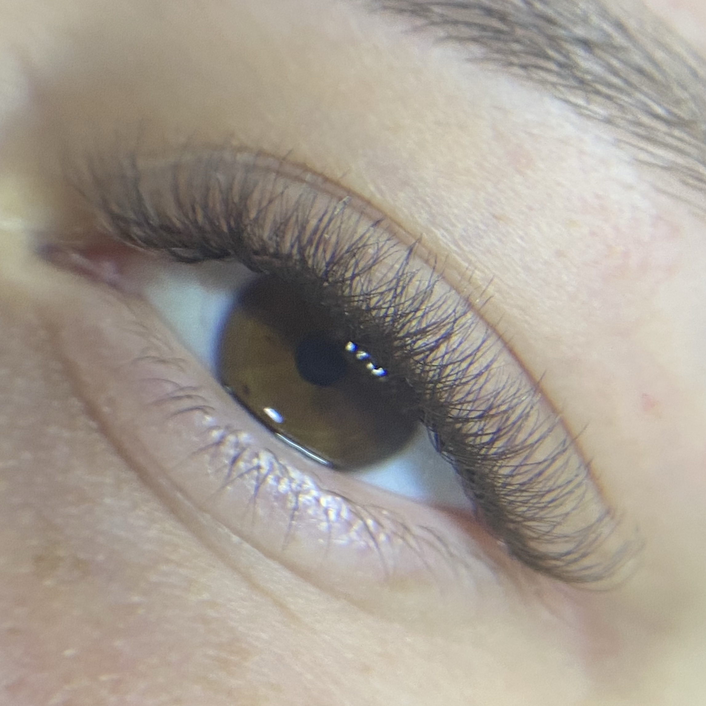 BROWN LASHES manutenção