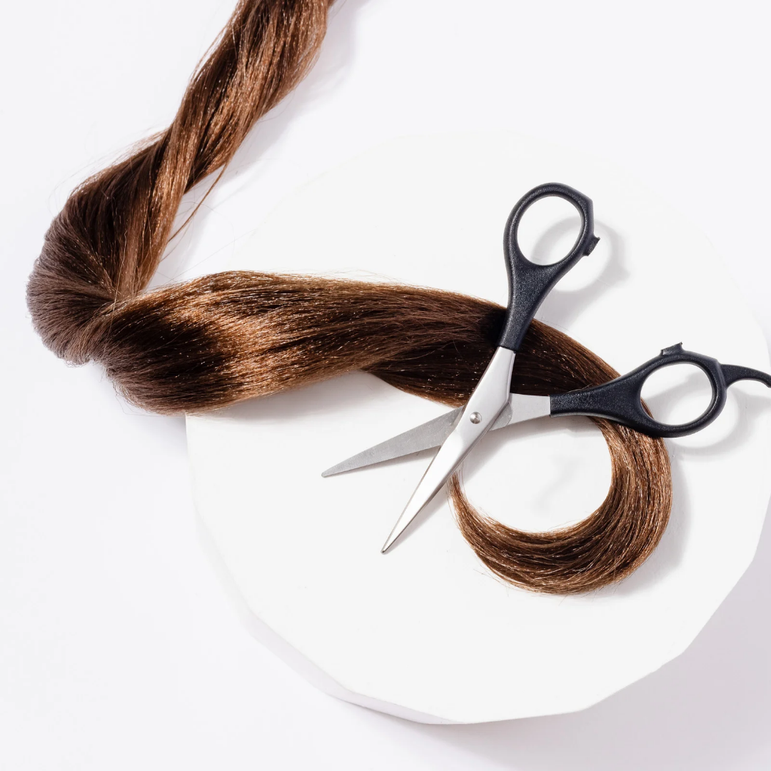 Corte: