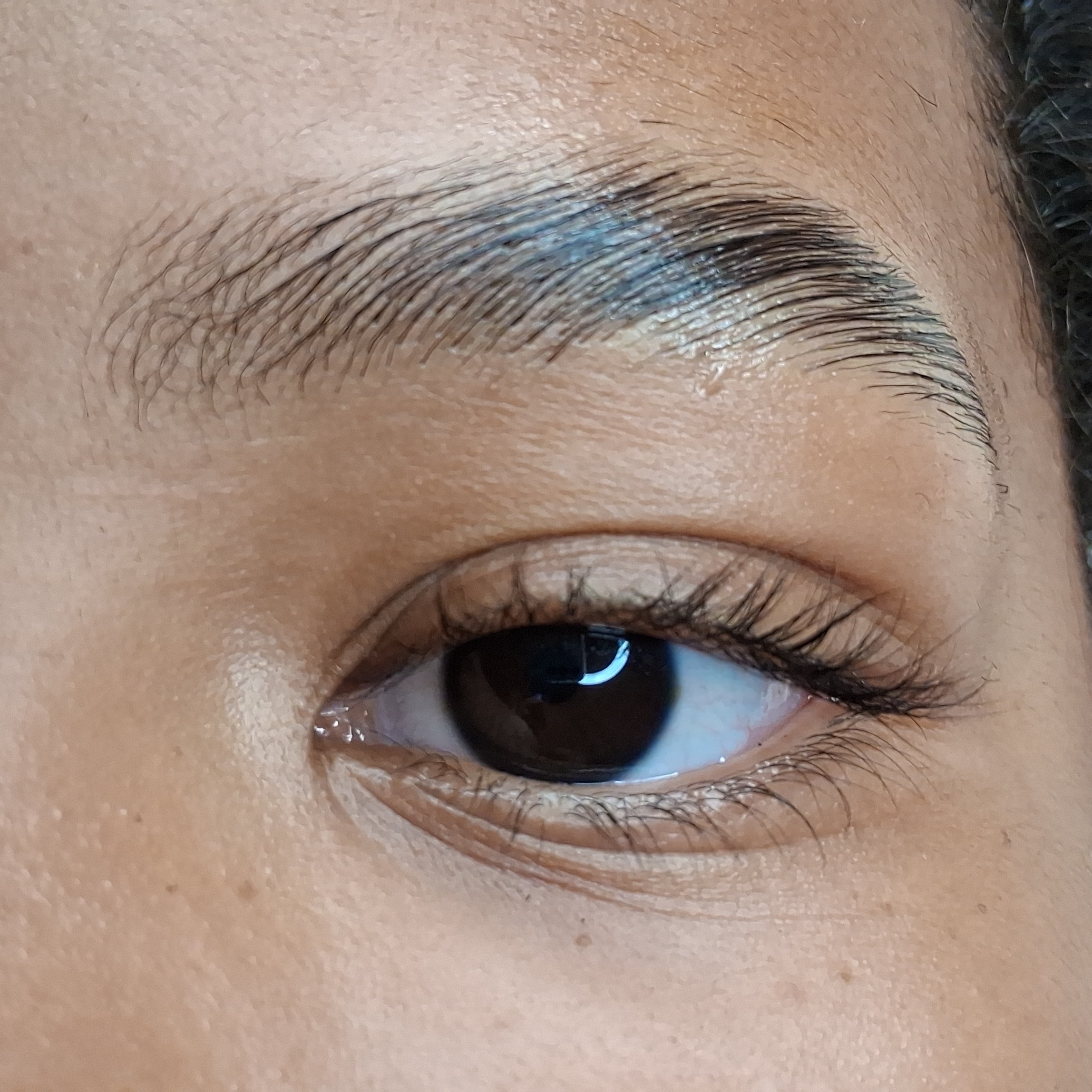 Brow Lamination