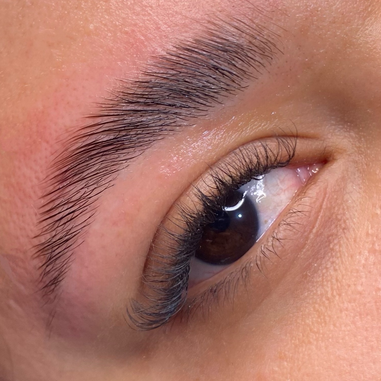 Brow Lamination