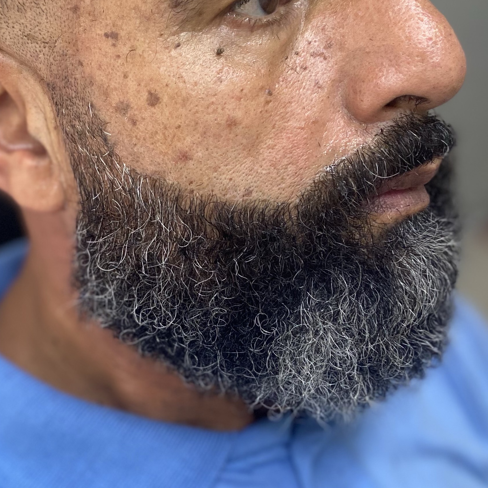 barba
