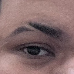 sobrancelha