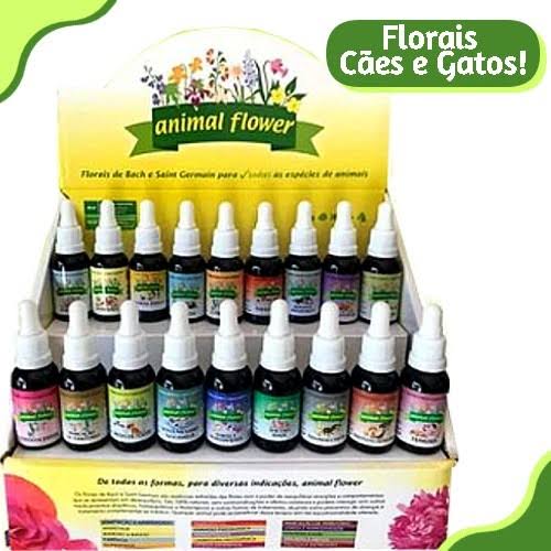 florais pet