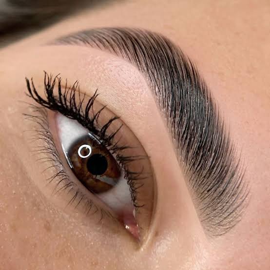 Brow lamition