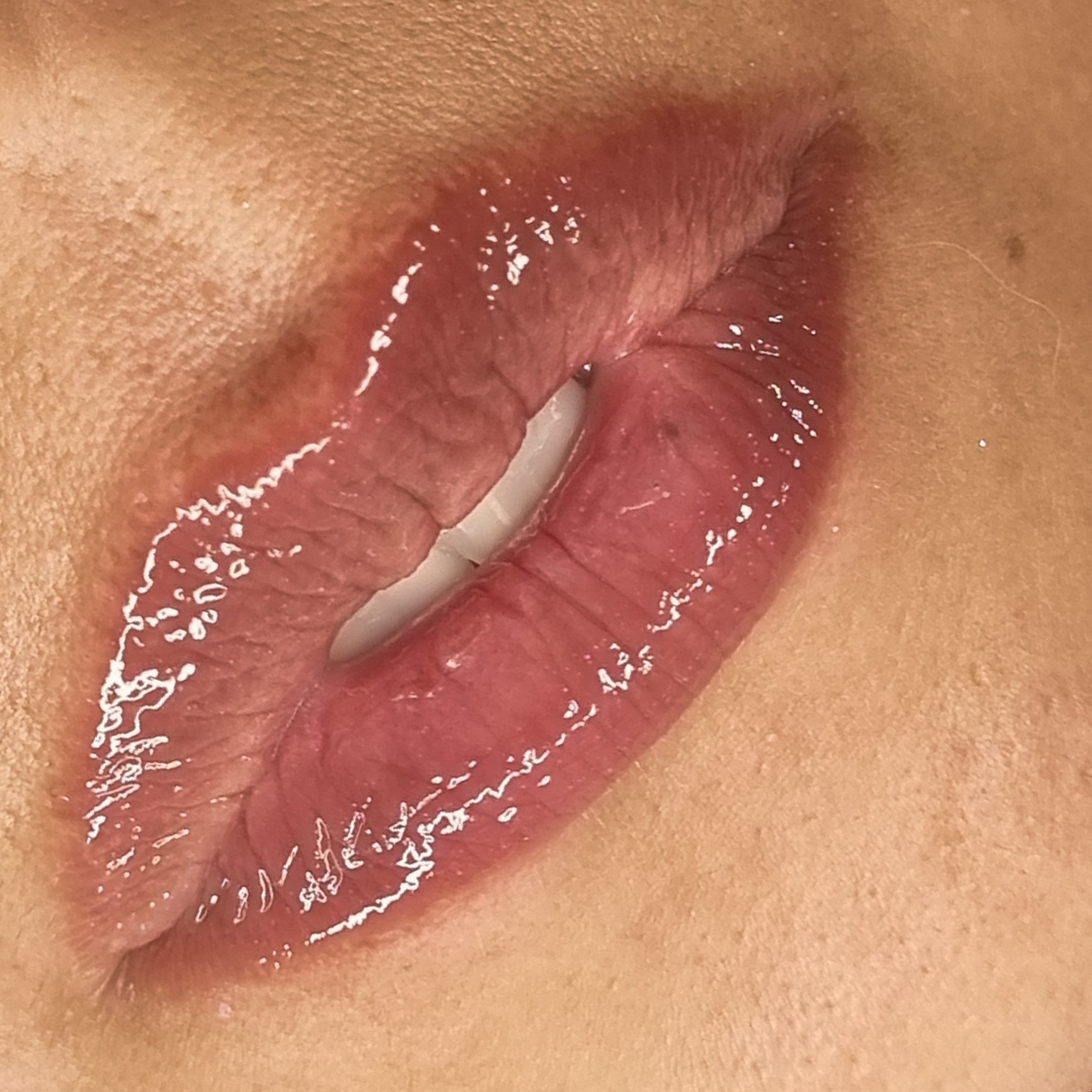 hydra Gloss