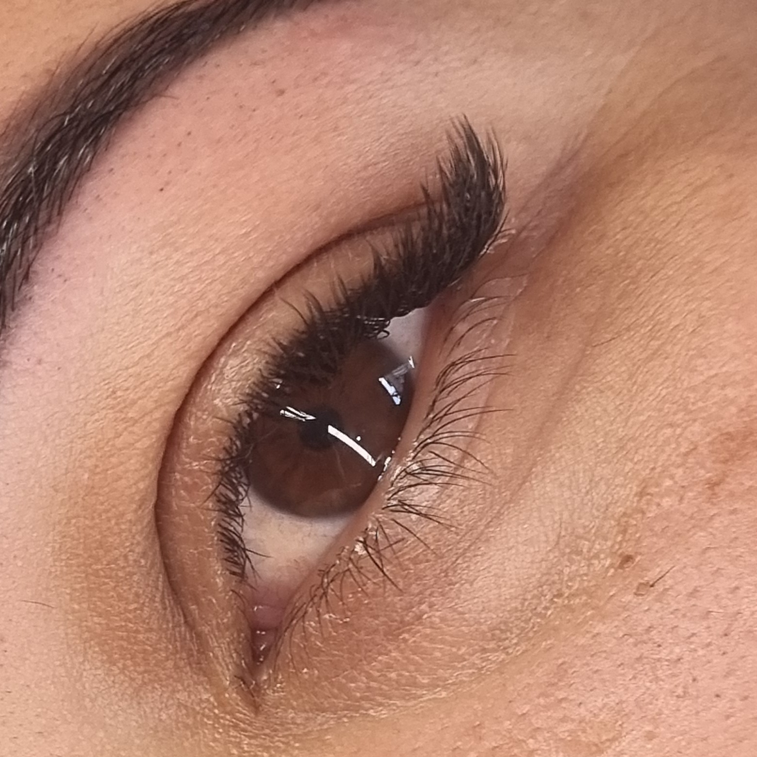 Volume Sirena