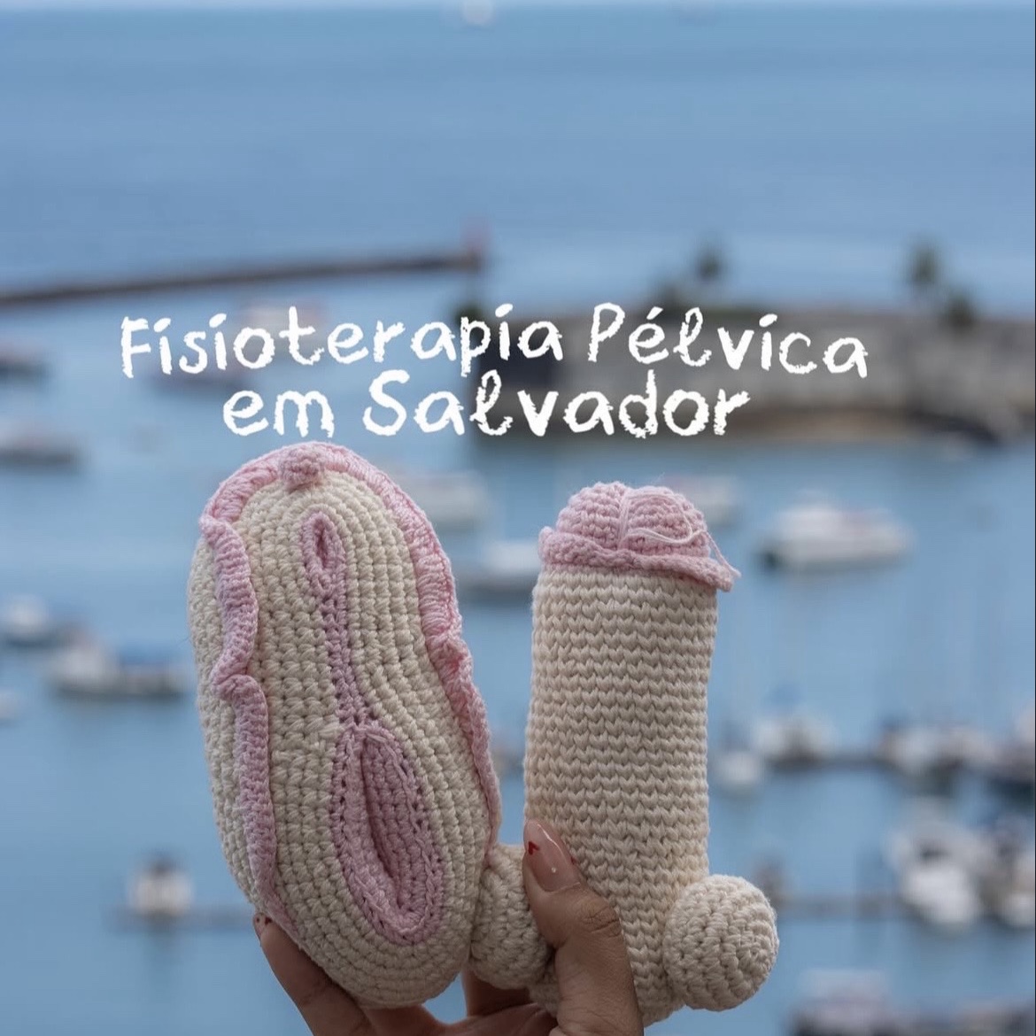 Fisioterapia Pélvica
