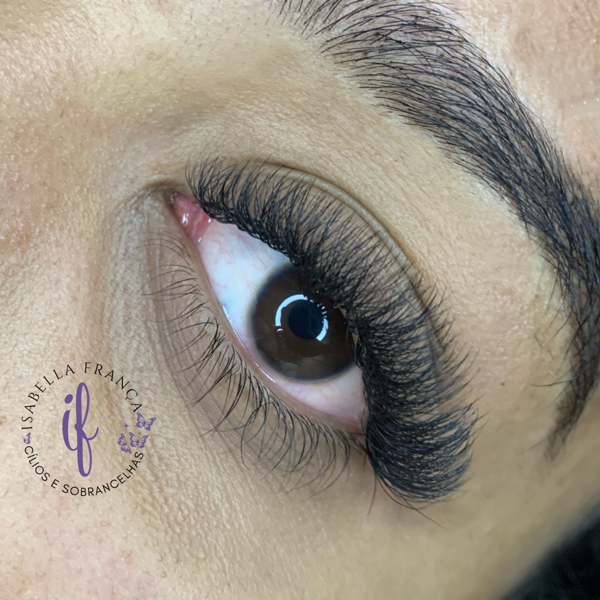 Aplicação vol luxo