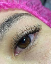 MANUTENÇÃO - Volume Brasileiro