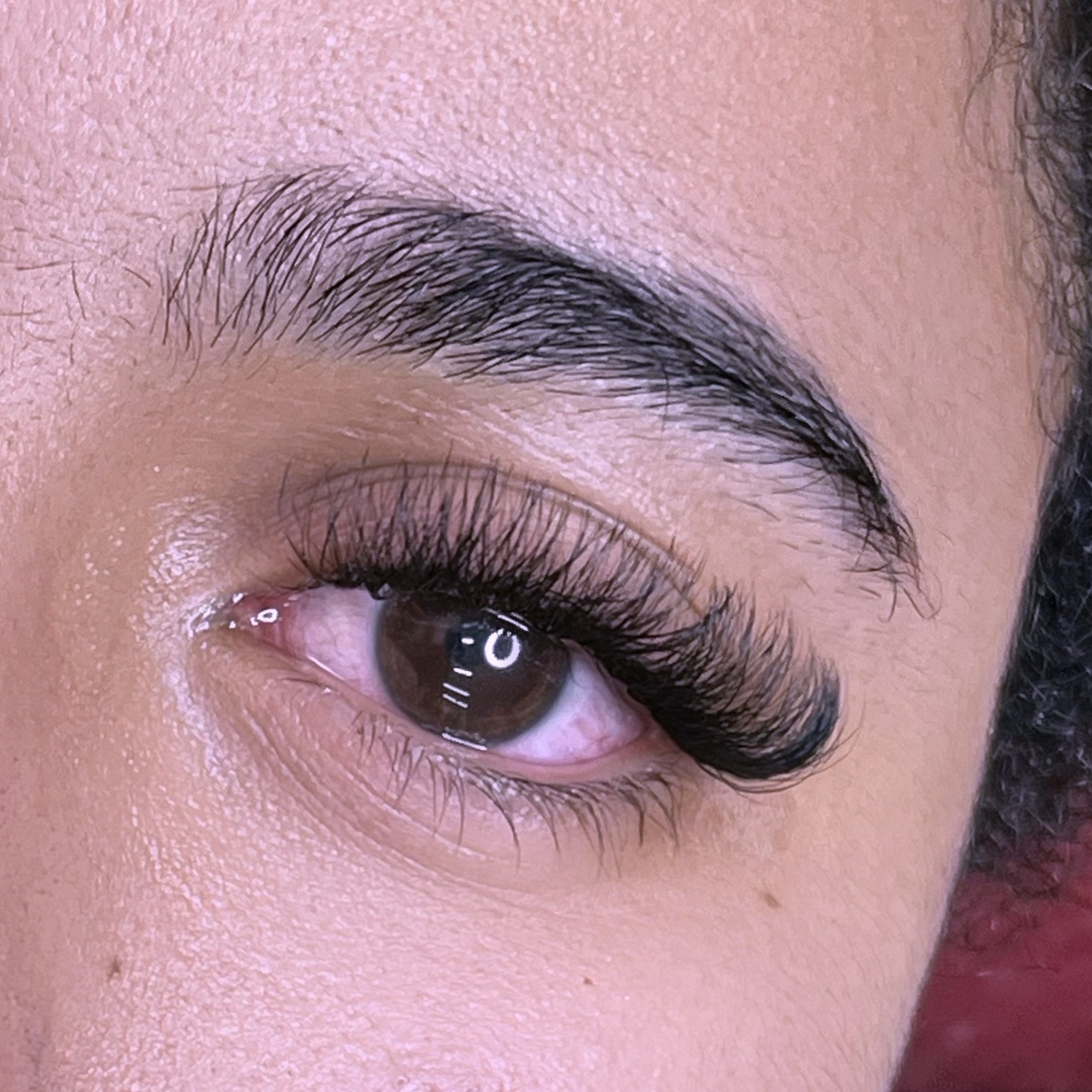 Manutenção Sophia 4D