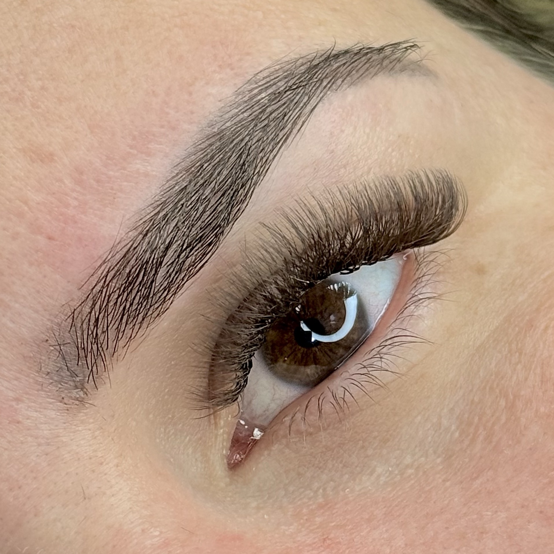 Volume Egípcio Brown