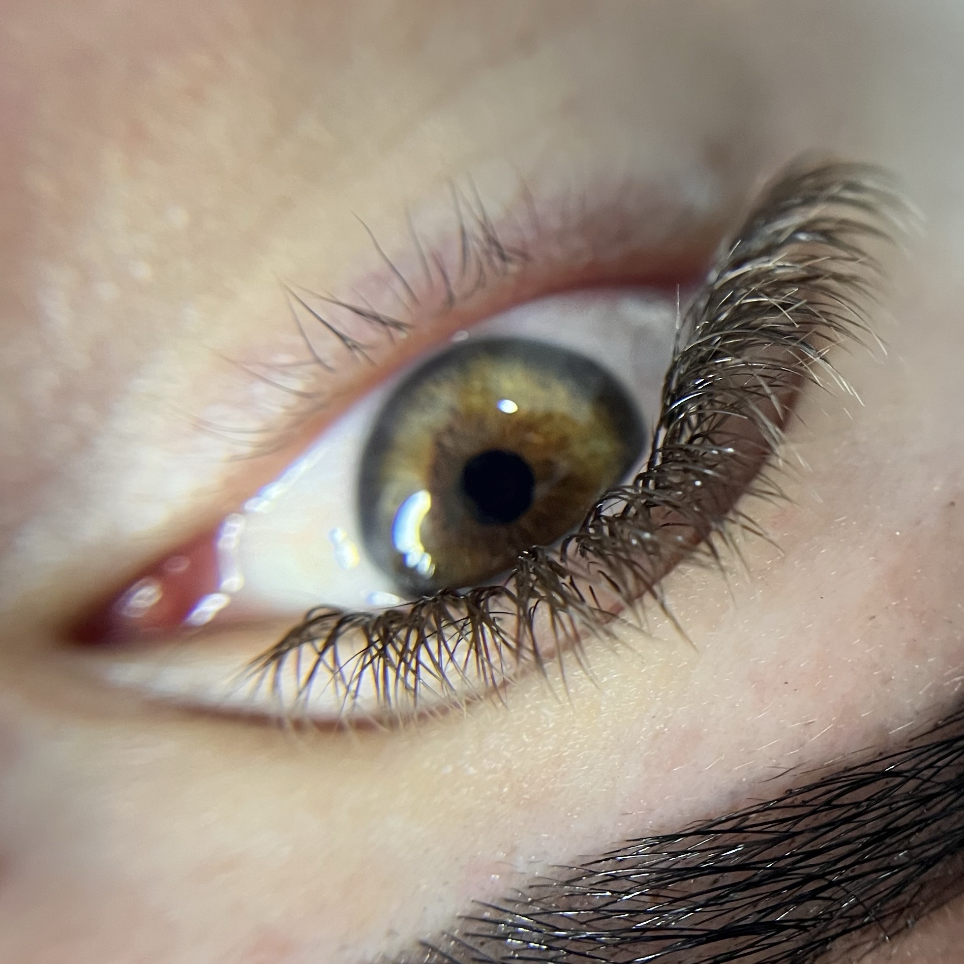 Volume Brasileiro Brown