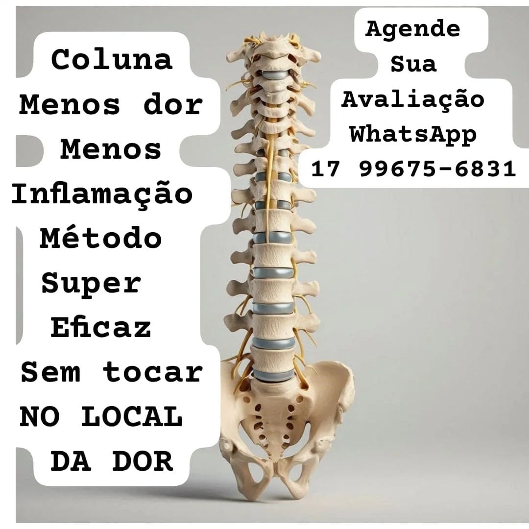 Projeto  coluna sem dor.