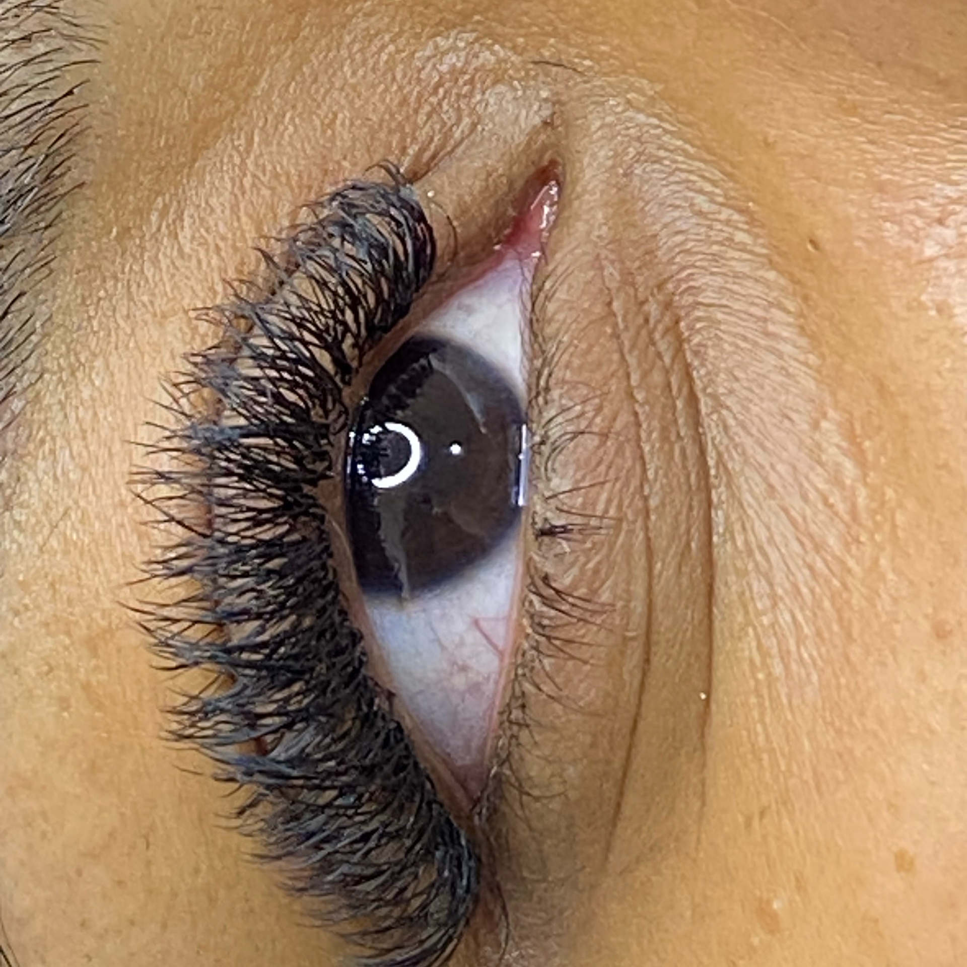 Extensão de cílios brasileiro