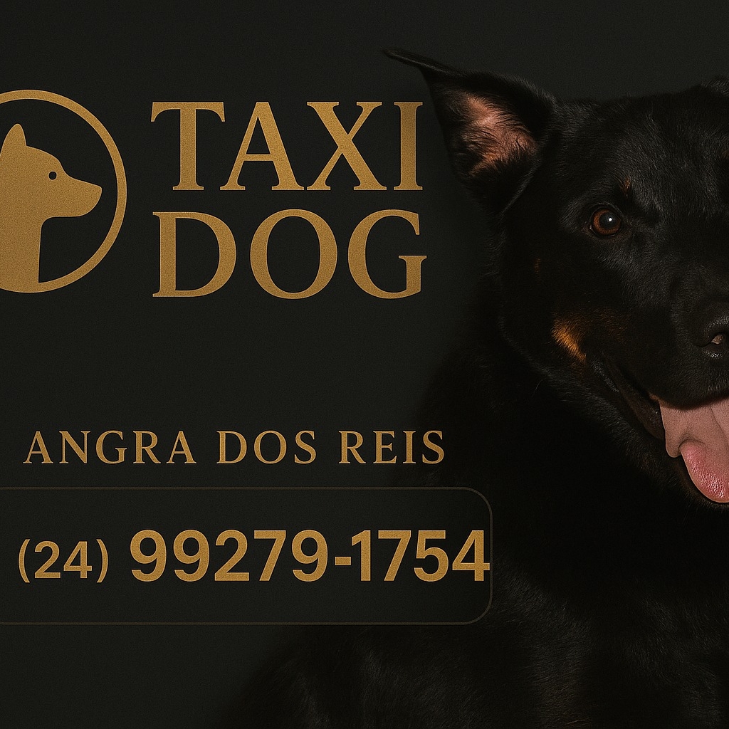 Taxi Dog / Belém x Pontal