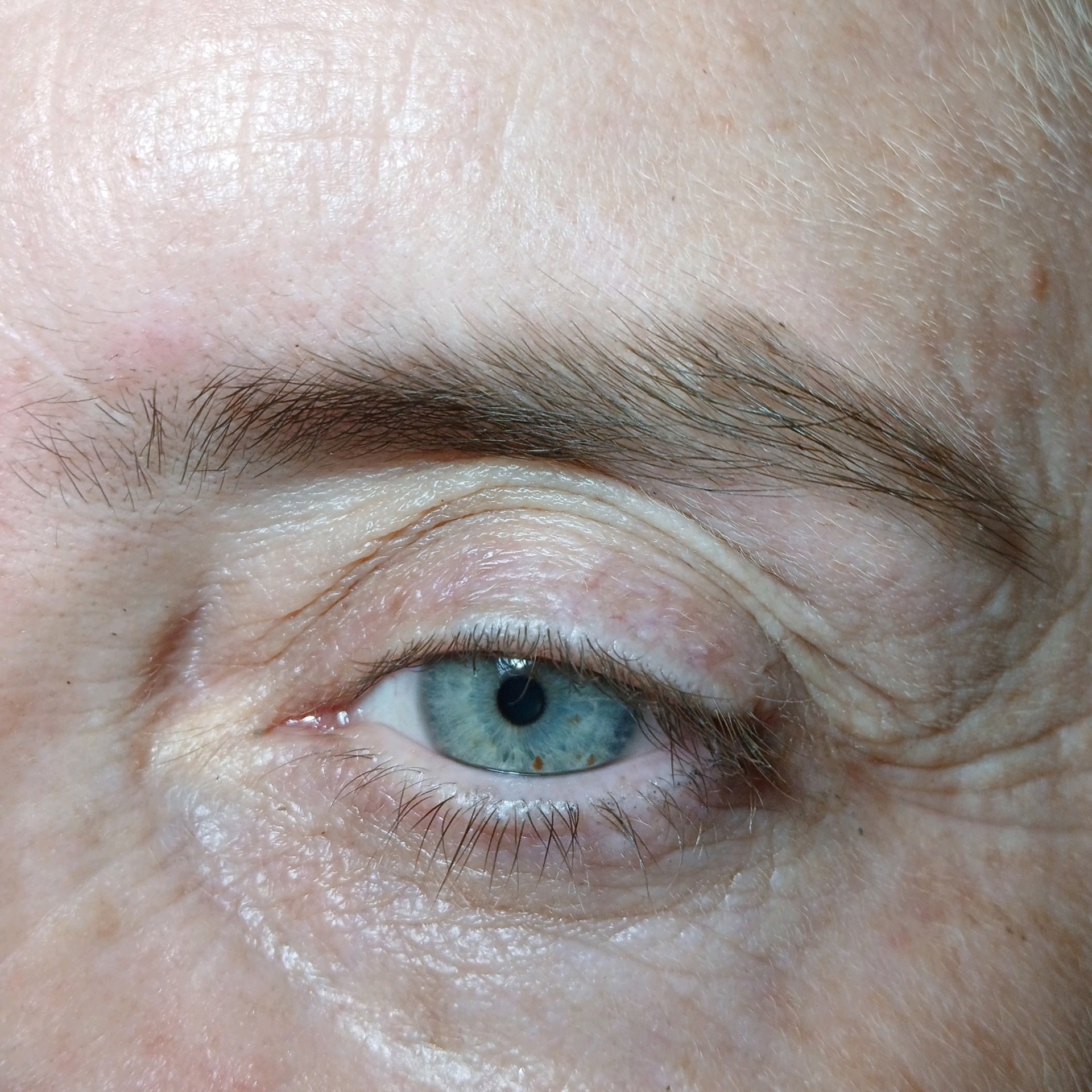 Designer de sobrancelhas