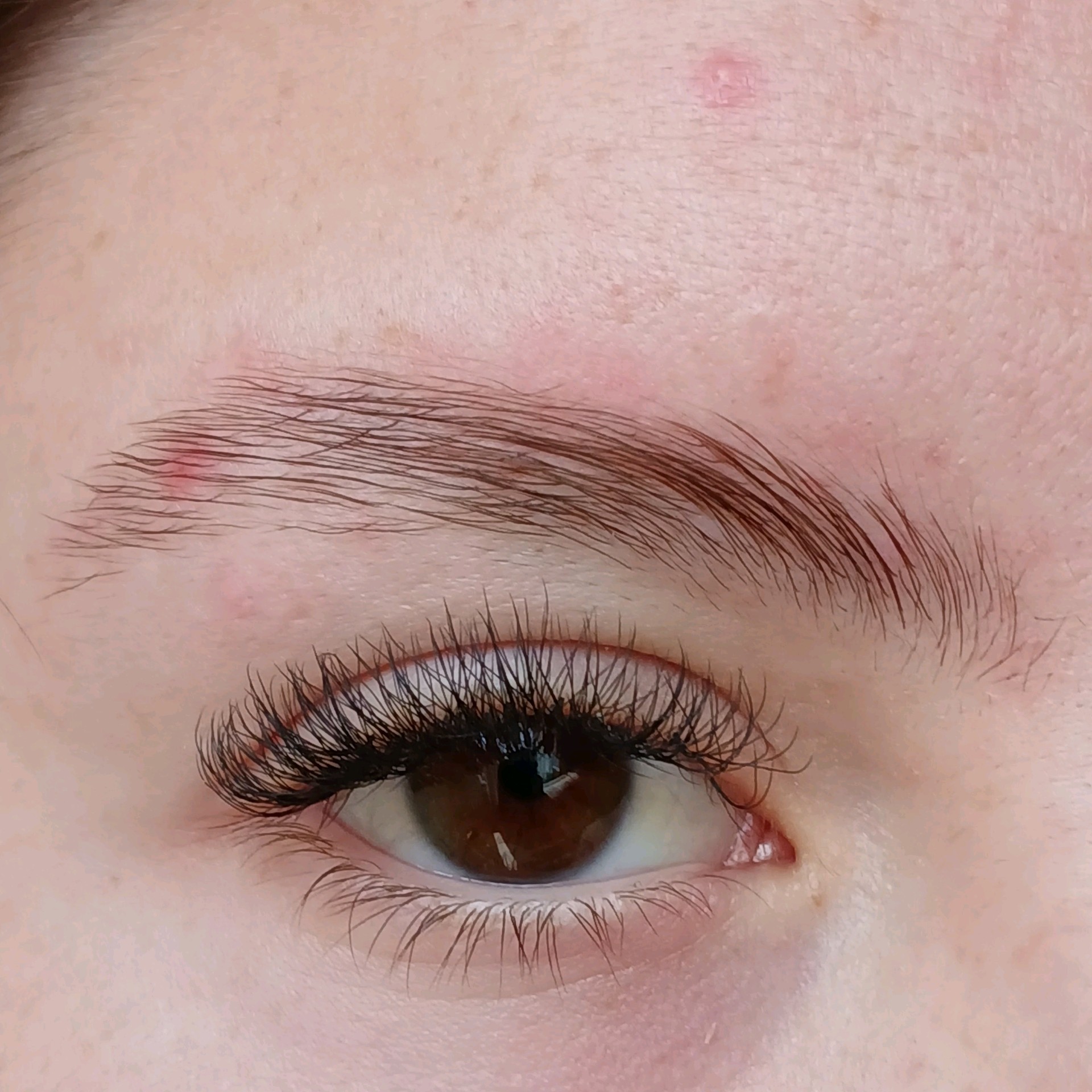 Brow lamination