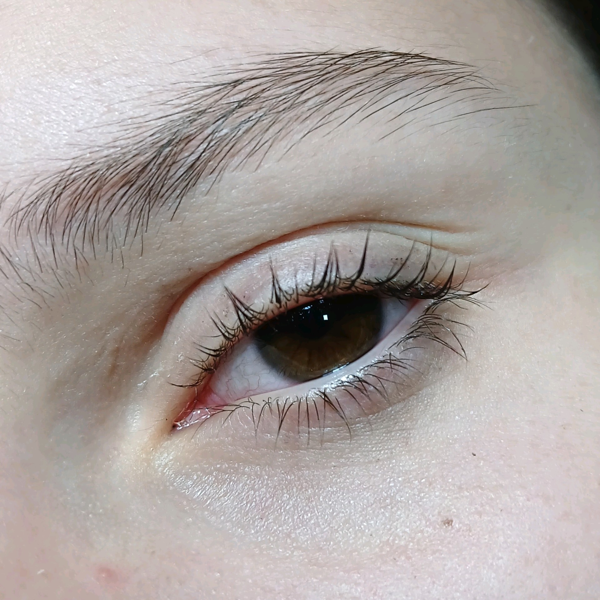 Lash lifting