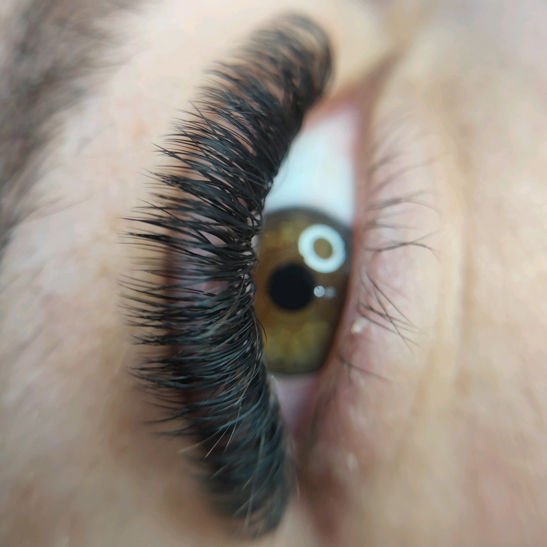 Cílios Efeito Squirrel