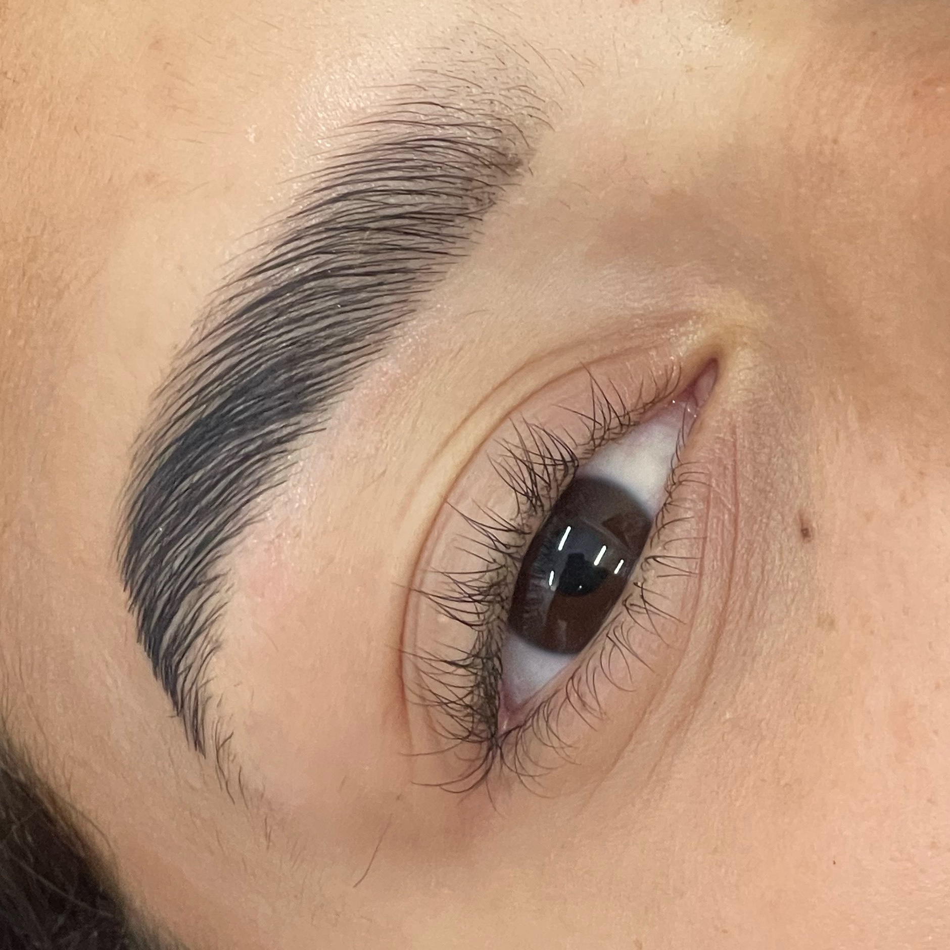 Brow Lamination