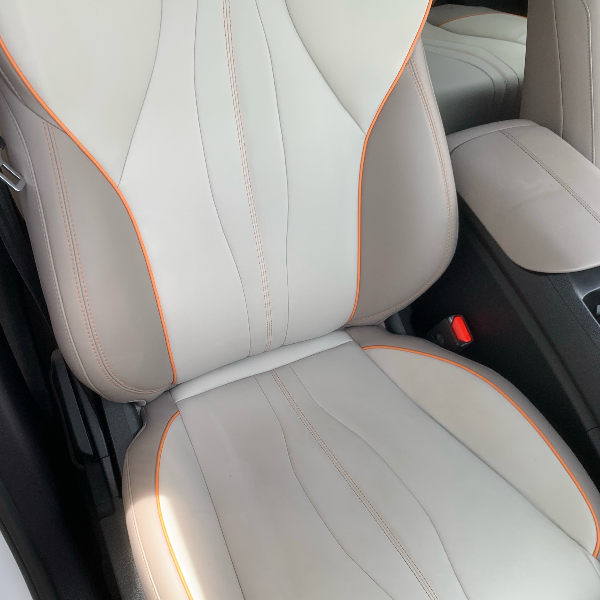 hidratação em bancos de COURO