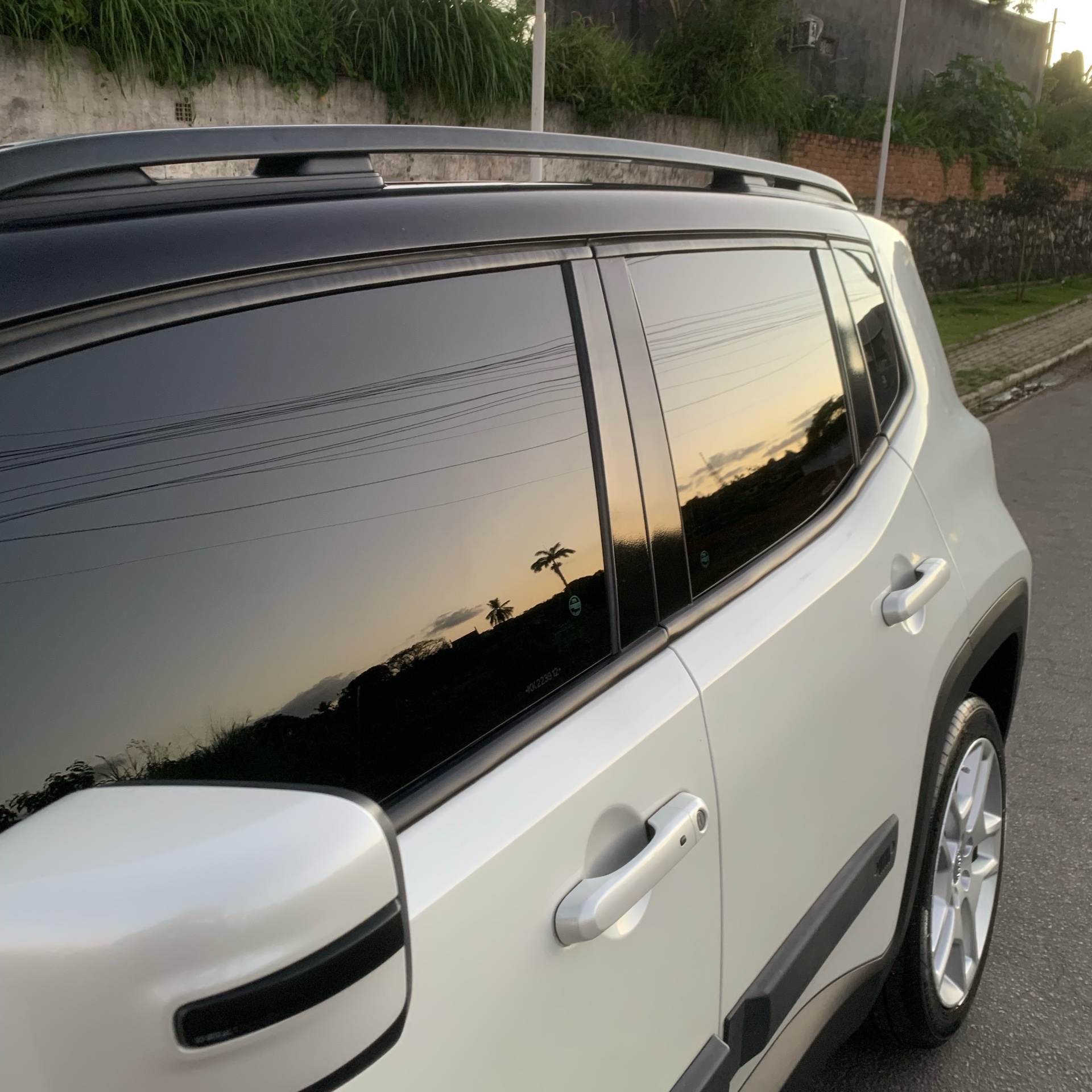 remoção CHUVA ÁCIDA dos vidros