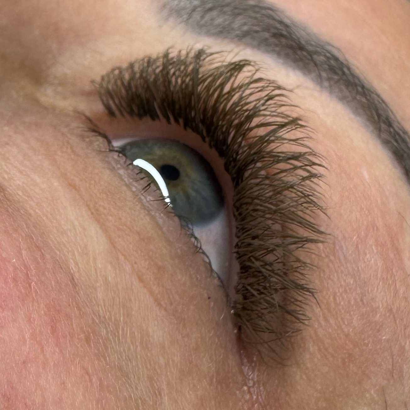 C manutenção castanho escuro