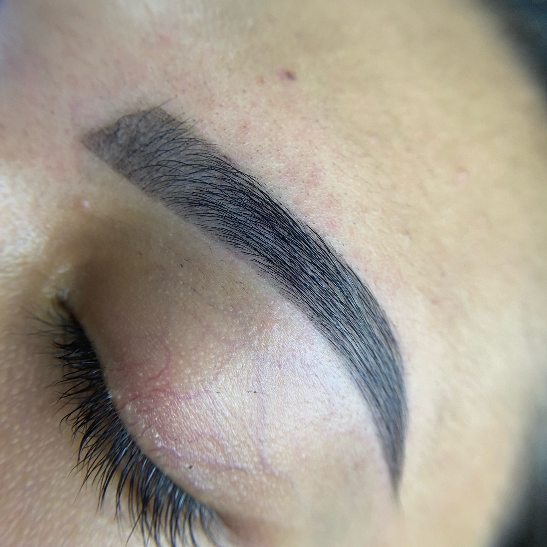 A tintura designer buçu