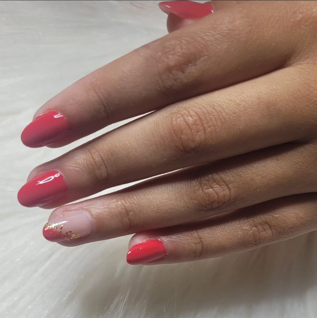 Modelo/Remoção + Nova Aplicação