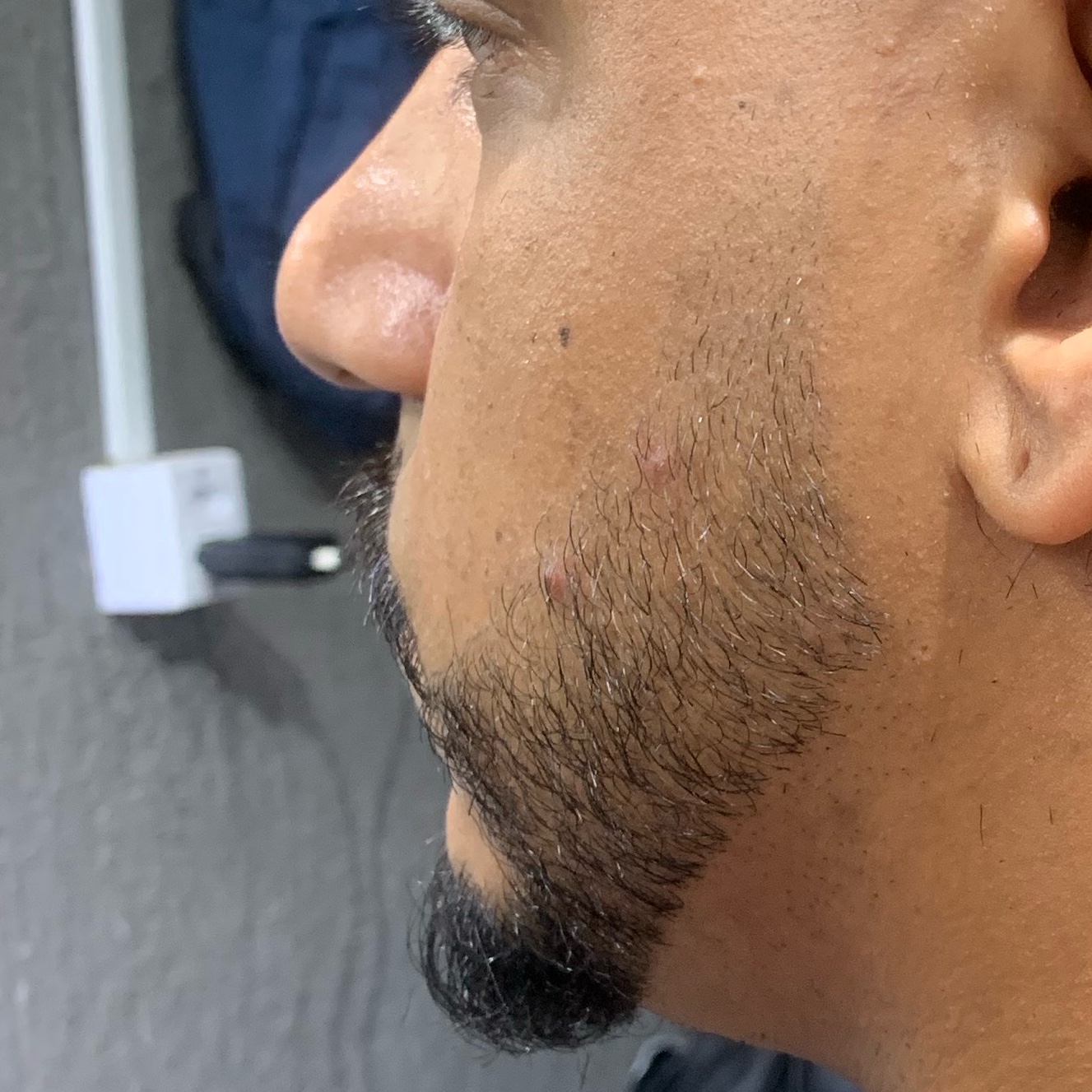 Barba