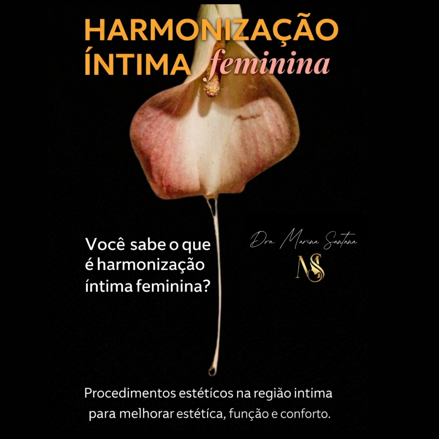 Harmonização Intima Feminino * Avaliação