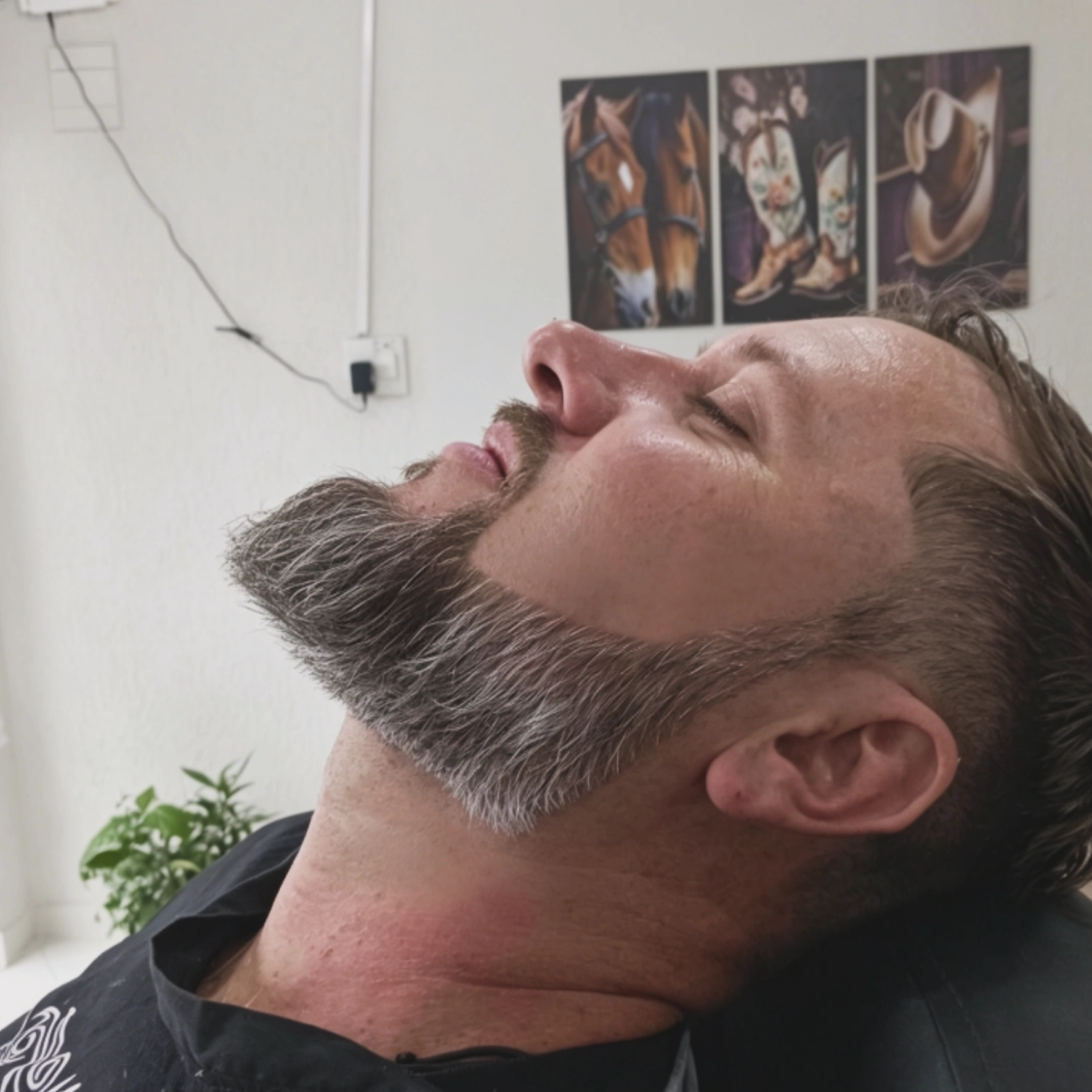 barba
