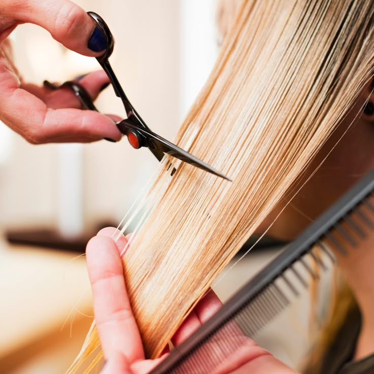 Corte