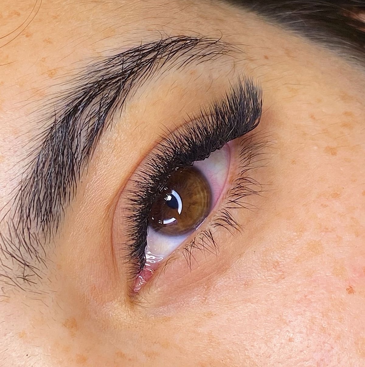 VOLUME FOX EYES