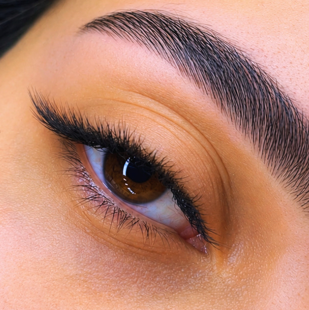 volume Fox eyes